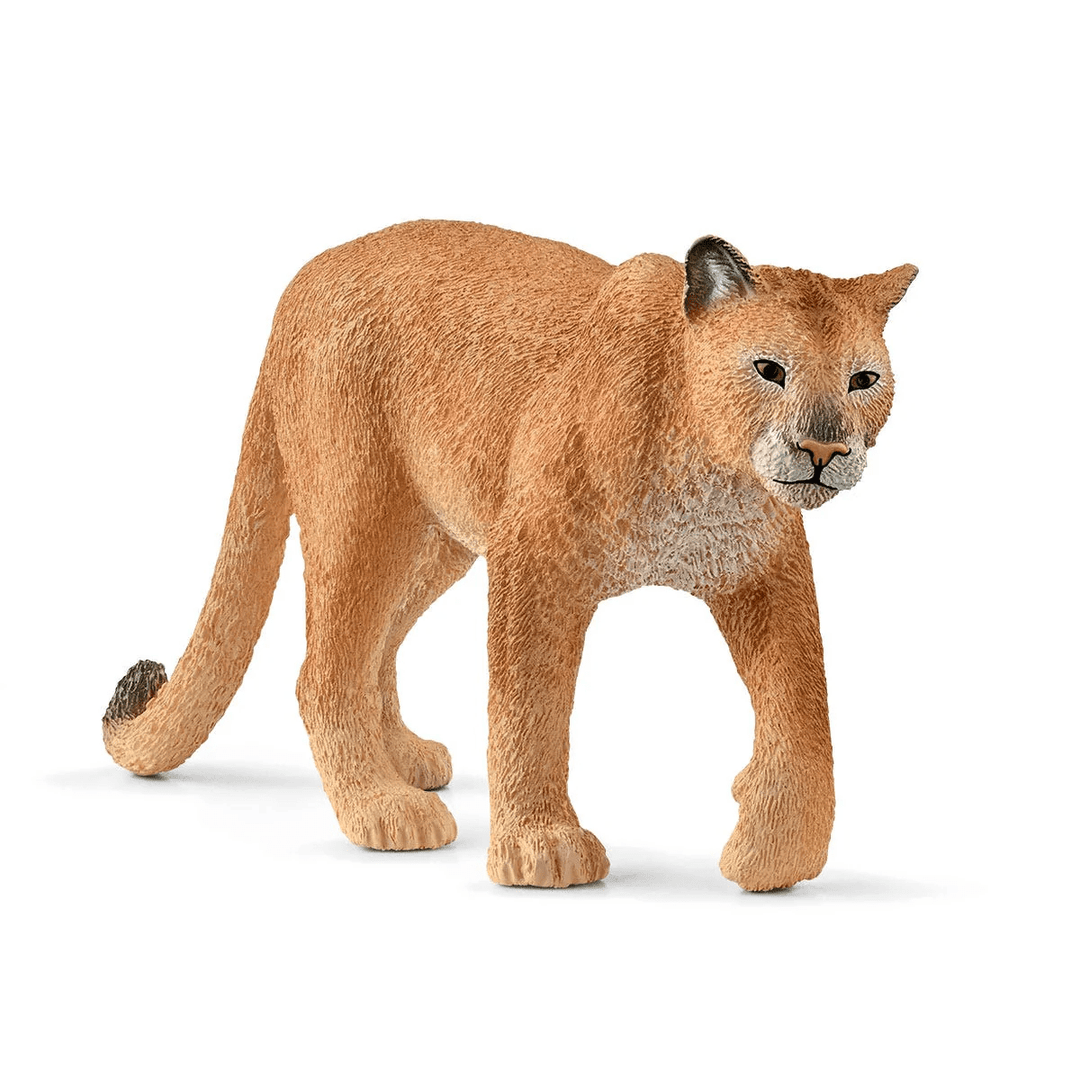 Cougar-Schleich USA-Tools 4 Teaching-Classroom Decor and More