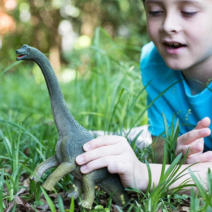 Brachiosaurus - Tools 4 Teaching