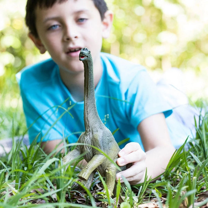 Brachiosaurus - Tools 4 Teaching