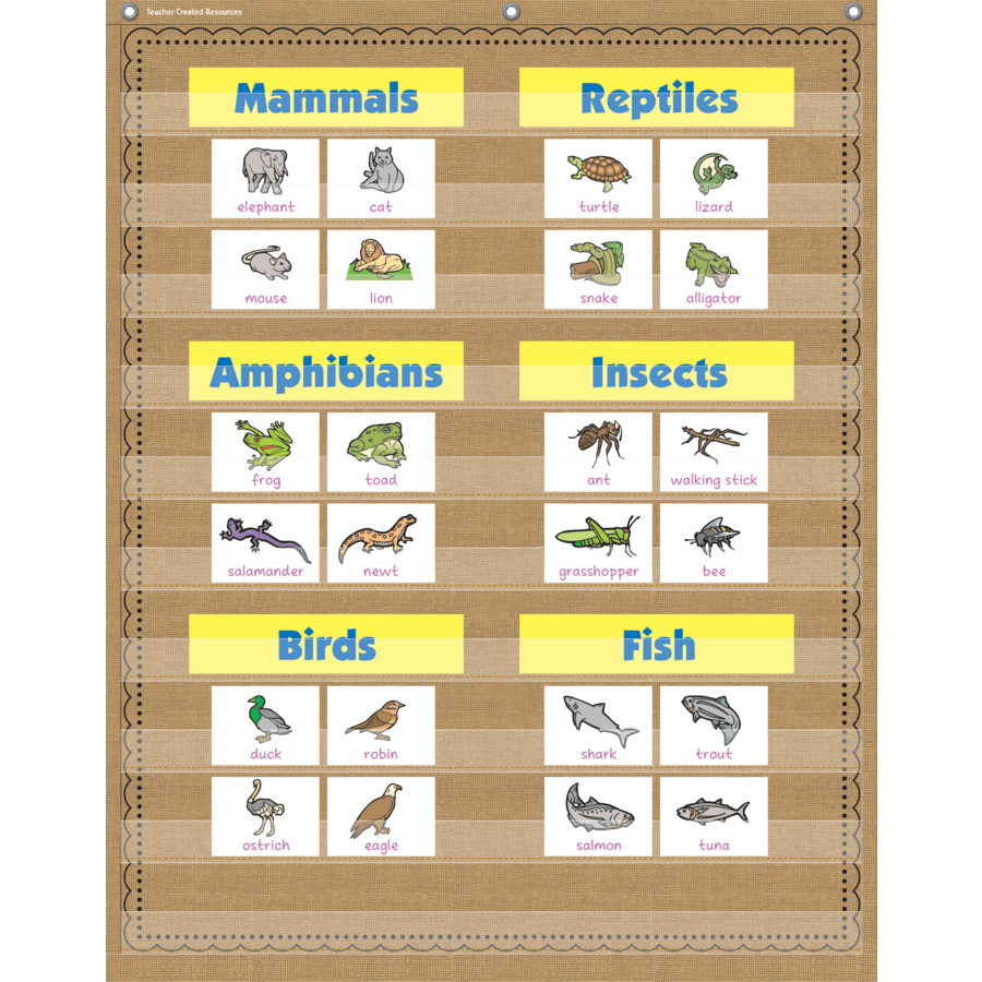 Burlap 10 Pocket Chart-Pocket Charts-Tools 4 Teaching-Classroom Decor and More