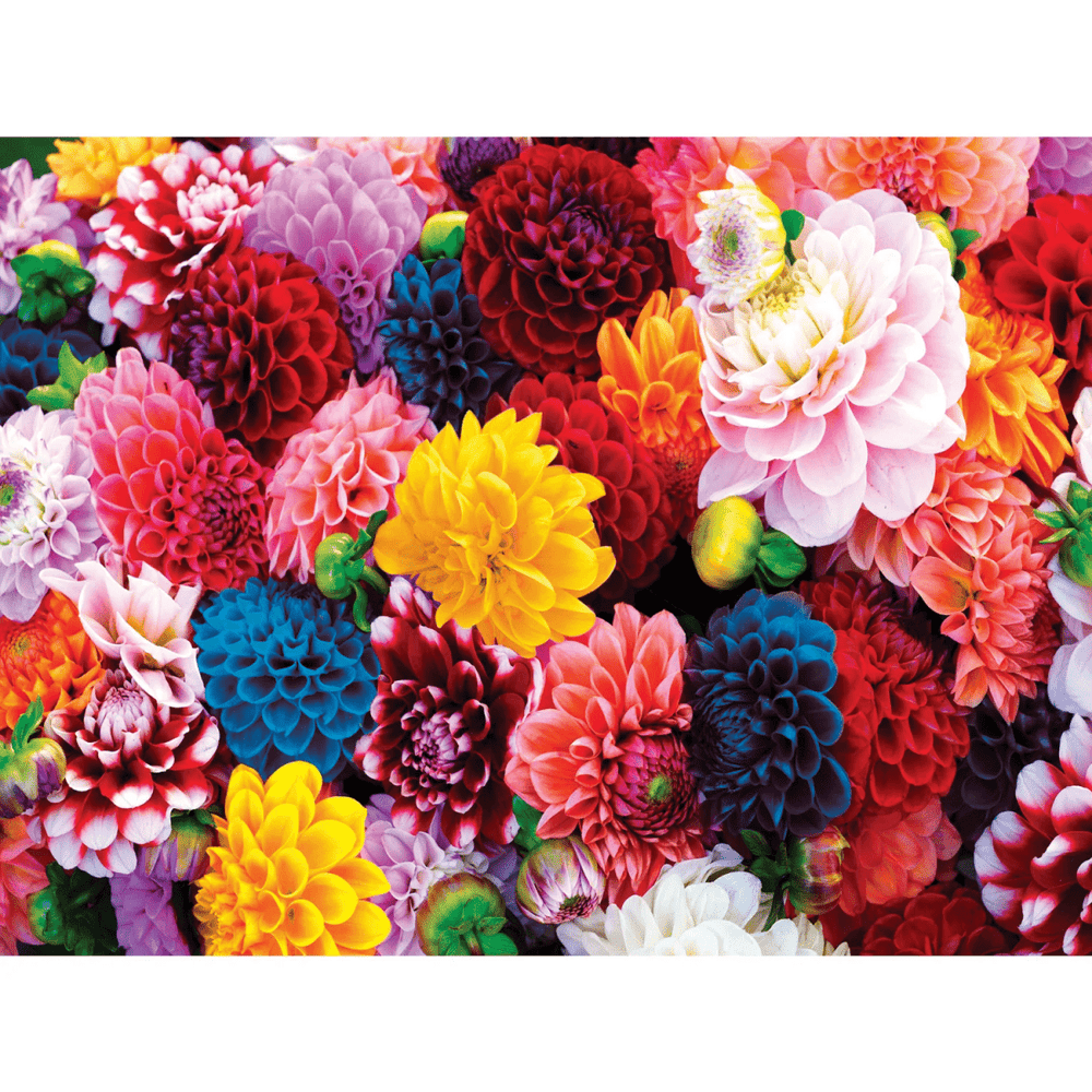 Brilliance - Beautiful Blooms 550 Piece Jigsaw Puzzle-Puzzles-Tools 4 Teaching-Classroom Decor and More
