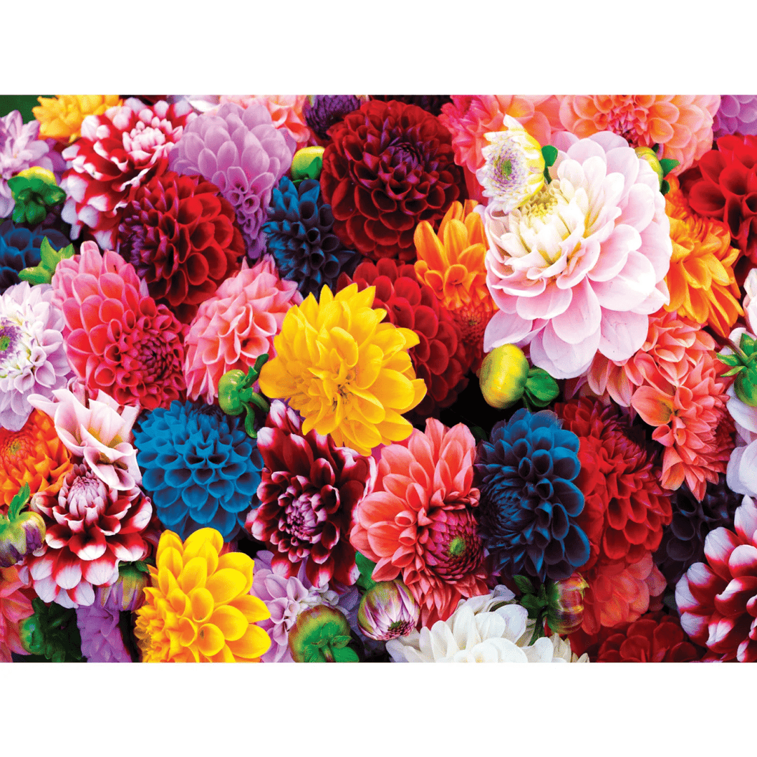 Brilliance - Beautiful Blooms 550 Piece Jigsaw Puzzle-Puzzles-Tools 4 Teaching-Classroom Decor and More