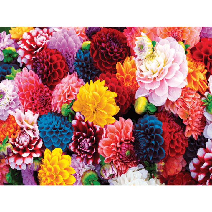 Brilliance - Beautiful Blooms 550 Piece Jigsaw Puzzle-Puzzles-Tools 4 Teaching-Classroom Decor and More
