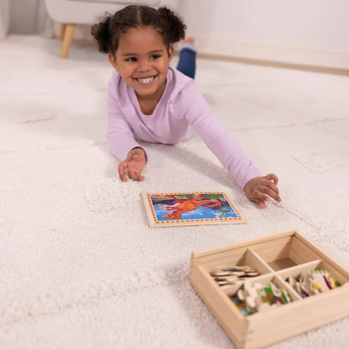 Dinosaurs Puzzles in a Box - Tools 4 Teaching