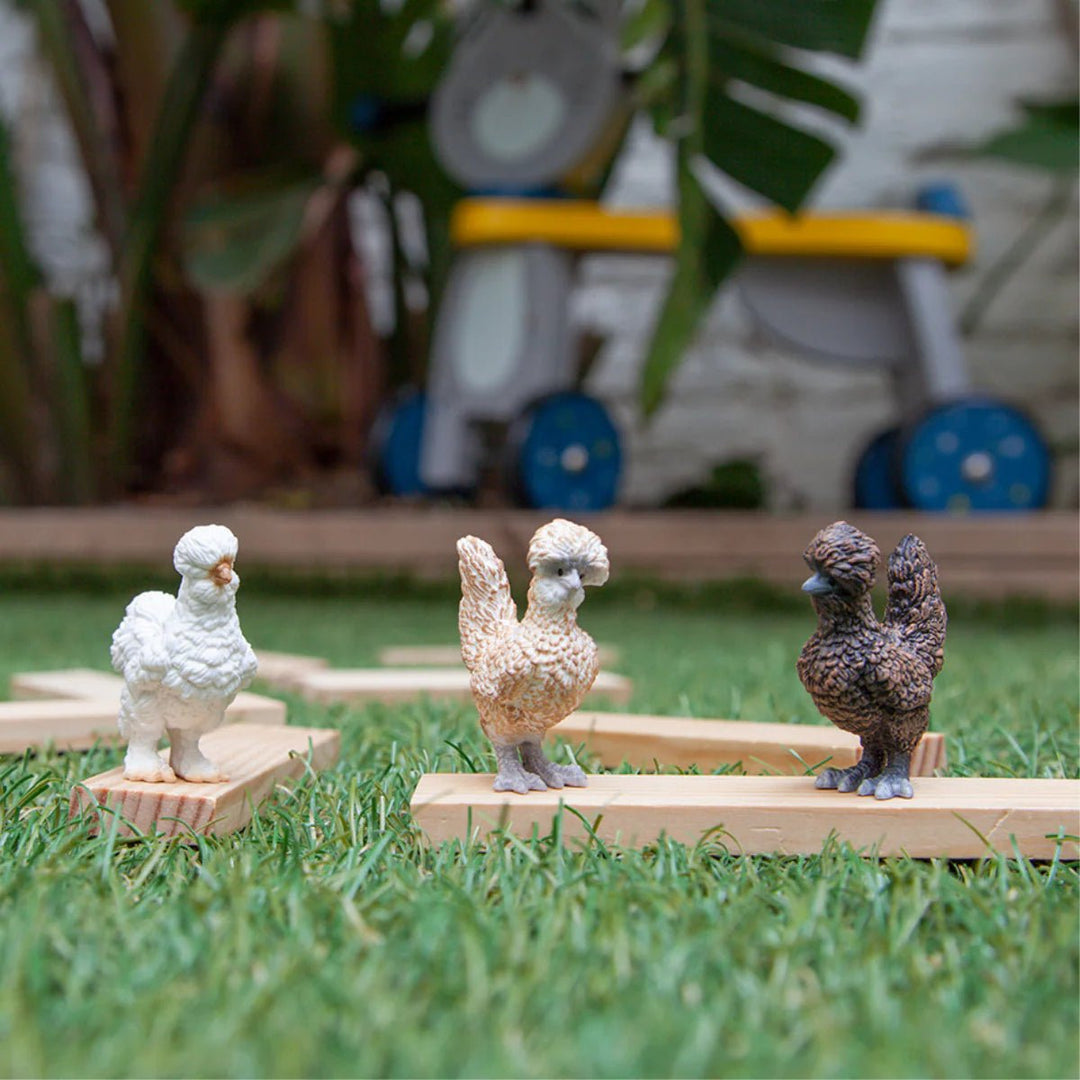 Chicken Friends - Tools 4 Teaching