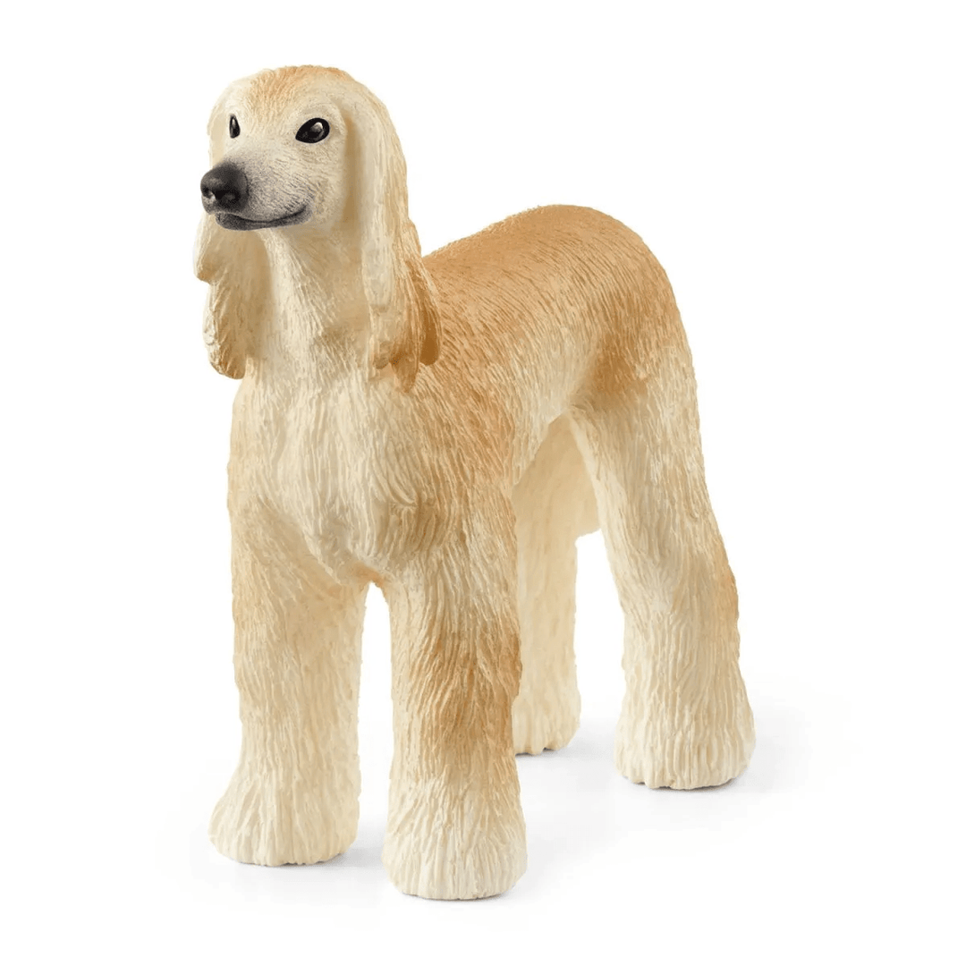 Afghan Hound-Schleich USA-Tools 4 Teaching-Classroom Decor and More