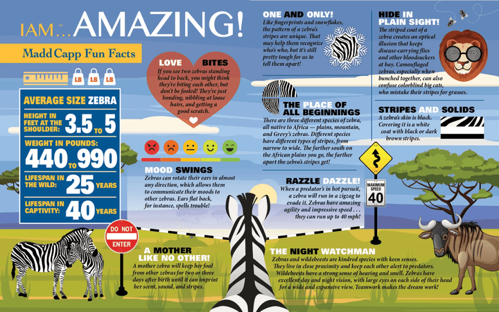 *I AM ZEBRA 1000 pcs Puzzle-Puzzles-Tools 4 Teaching-Classroom Decor and More