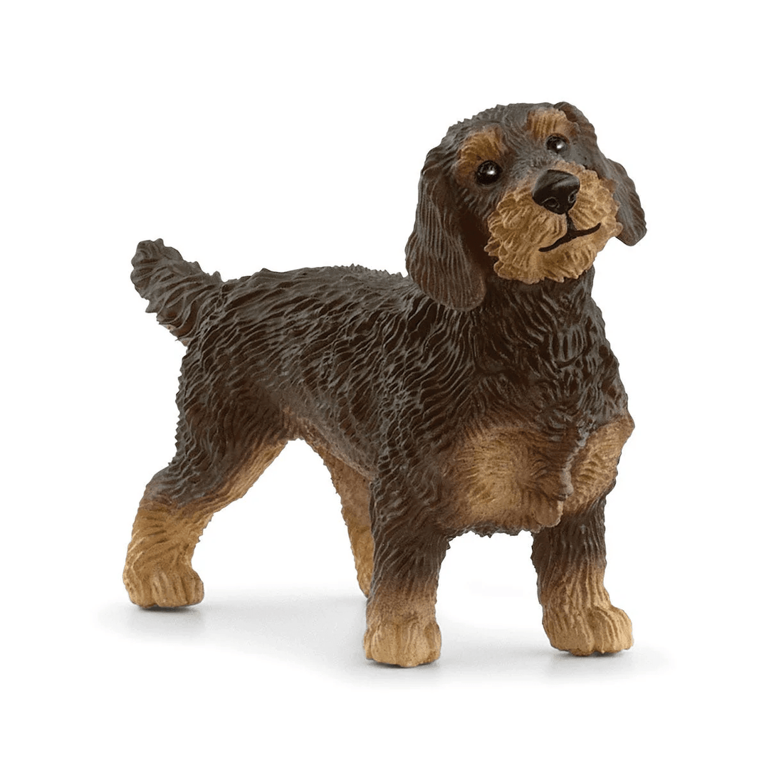 Wire-Haired Dachshund-Schleich USA-Tools 4 Teaching-Classroom Decor and More