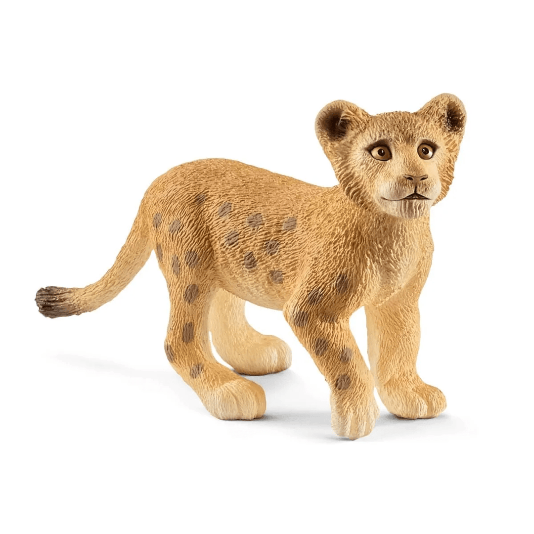 Lion cub-Schleich USA-Tools 4 Teaching-Classroom Decor and More