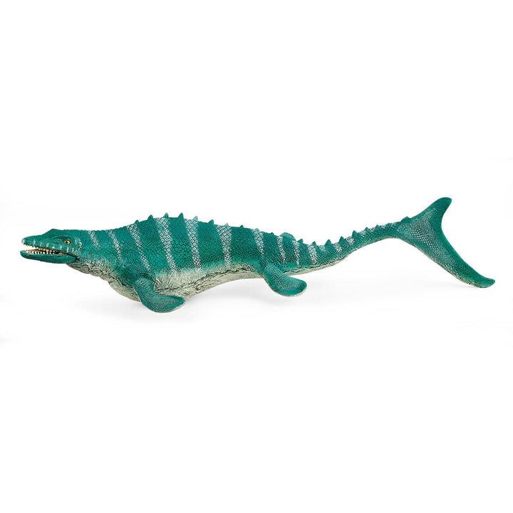 Mosasaurus - Tools 4 Teaching
