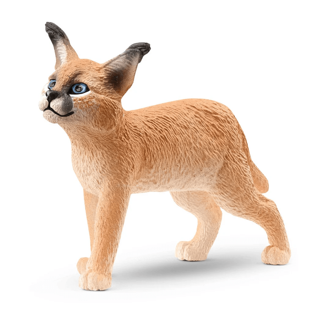 Caracal Baby-Schleich USA-Tools 4 Teaching-Classroom Decor and More
