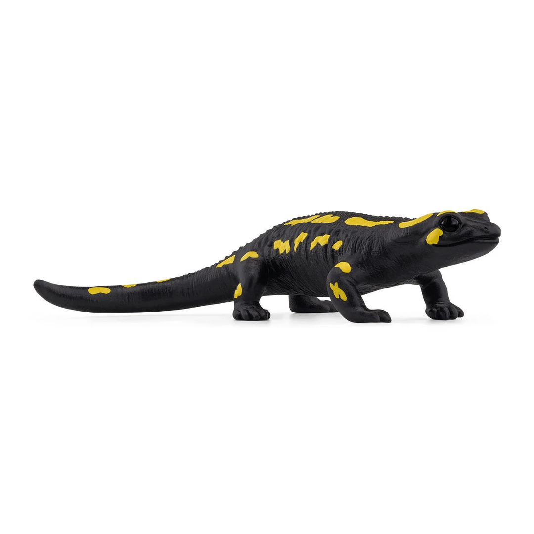 Fire Salamander-Schleich USA-Tools 4 Teaching-Classroom Decor and More