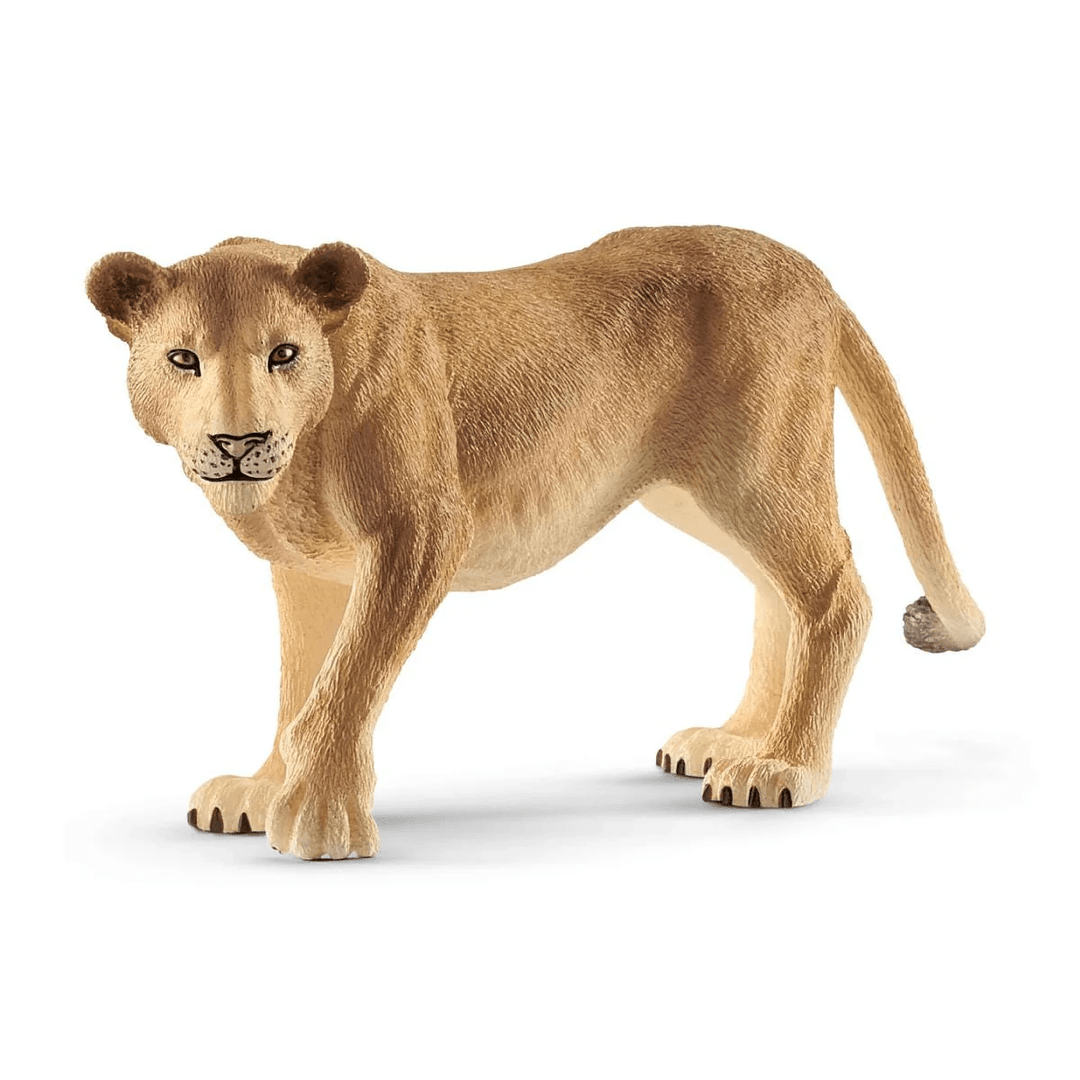 Lioness-Schleich USA-Tools 4 Teaching-Classroom Decor and More