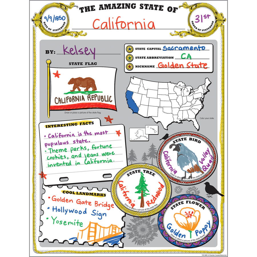Amazing State Poster Pack-Classroom Essentials-Tools 4 Teaching-Classroom Decor and More