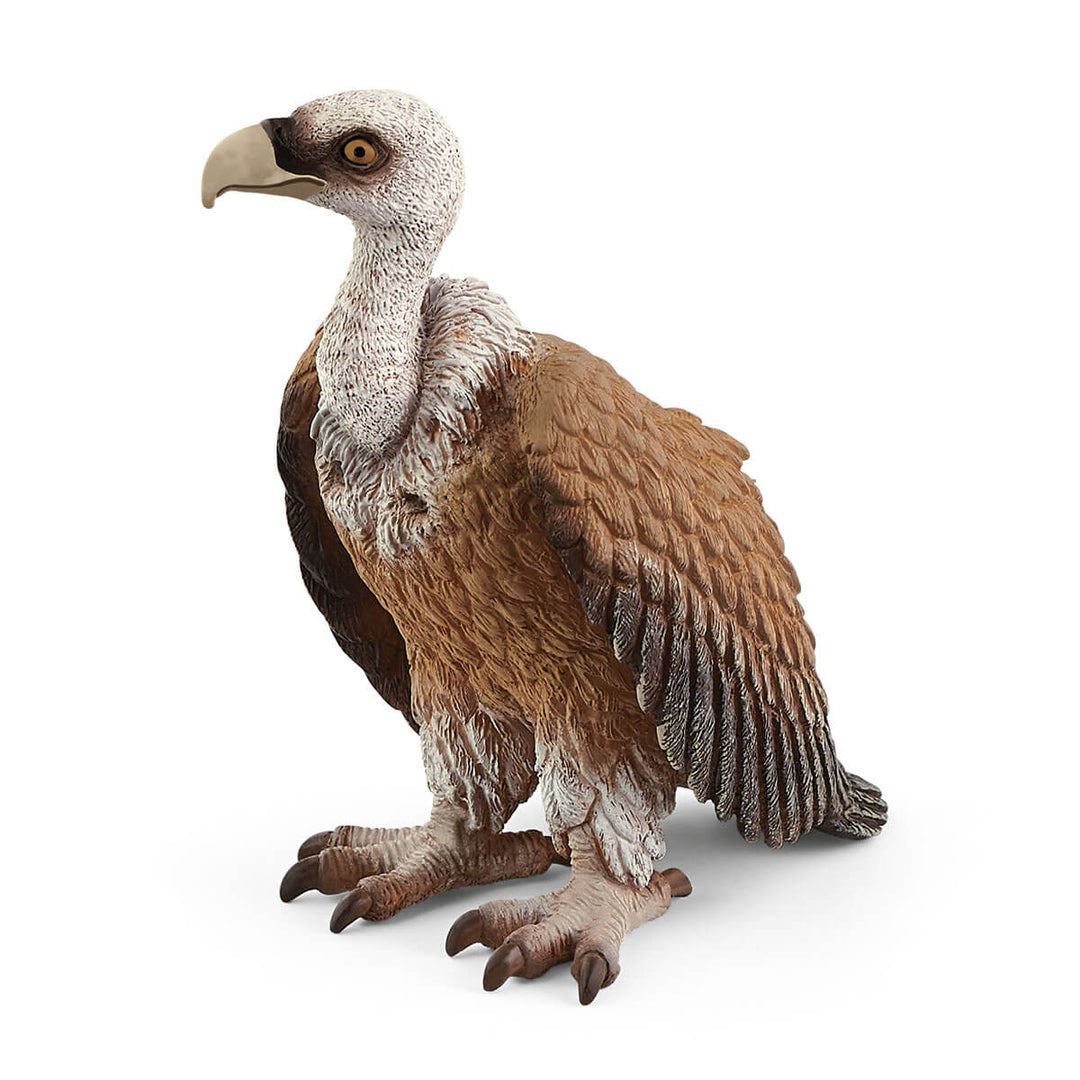 Vulture-Schleich USA-Tools 4 Teaching-Classroom Decor and More