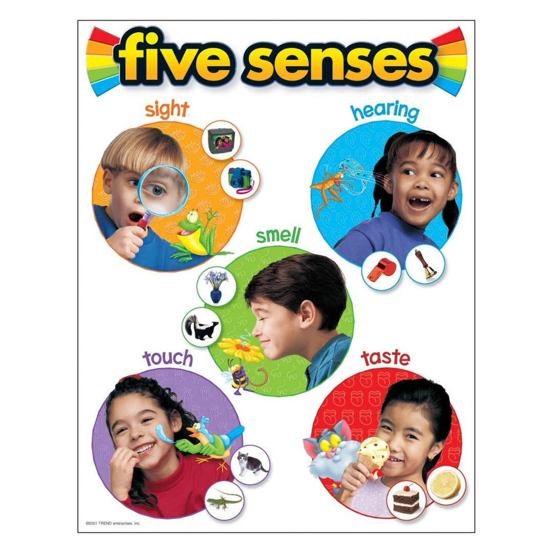 Five Senses Learning Chart-Charts-Tools 4 Teaching-Classroom Decor and More