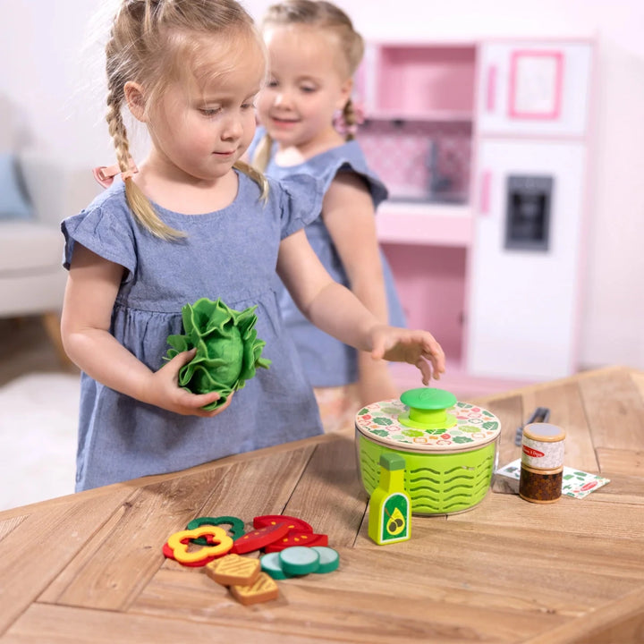 Salad Spinner - Tools 4 Teaching