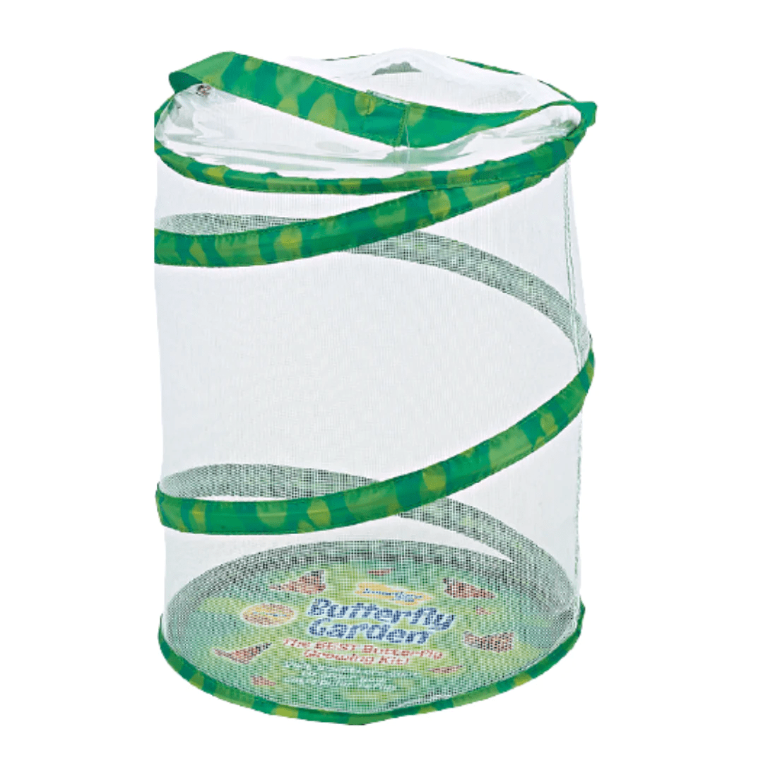 Butterfly Garden® With Voucher-Science & STEM-Tools 4 Teaching-Classroom Decor and More