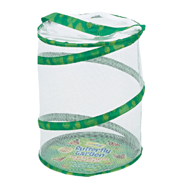 Butterfly Garden® With Voucher-Science & STEM-Tools 4 Teaching-Classroom Decor and More