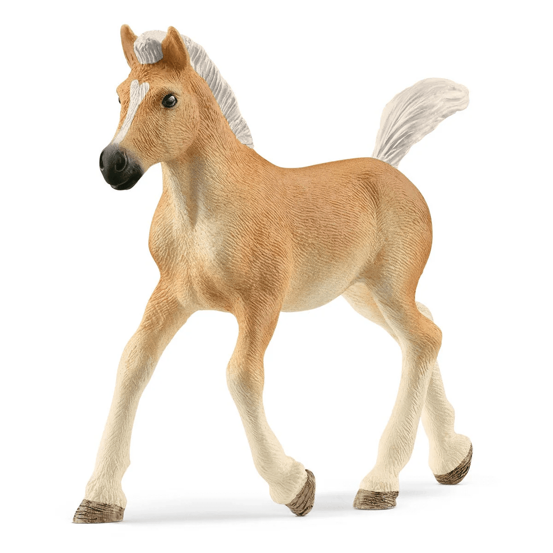 Haflinger Foal-Schleich USA-Tools 4 Teaching-Classroom Decor and More
