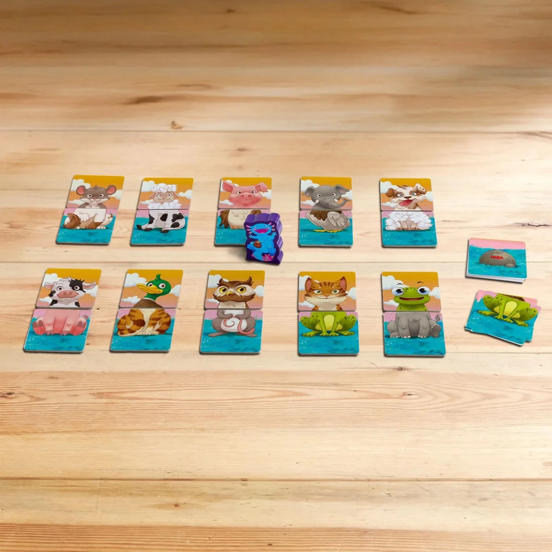 Mixalotl Matching Game - Tools 4 Teaching