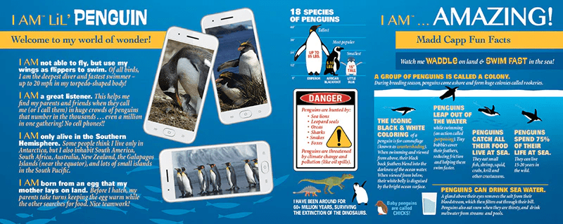 I AM LiL' PENGUIN 100 pcs Puzzle-Puzzles-Tools 4 Teaching-Classroom Decor and More