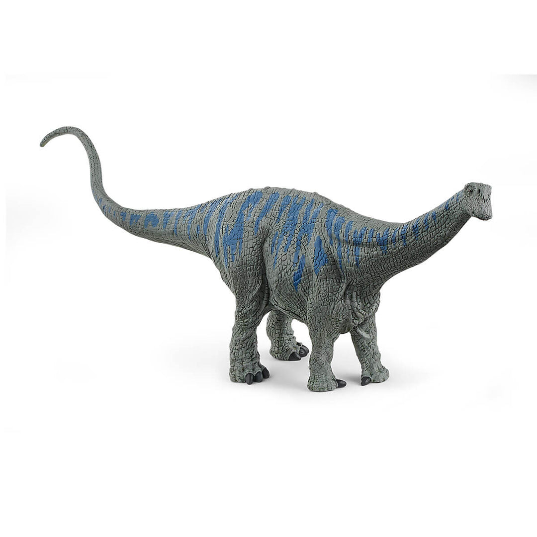 Brontosaurus-Schleich USA-Tools 4 Teaching-Classroom Decor and More
