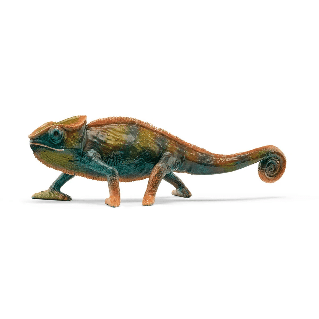 Chameleon-Schleich USA-Tools 4 Teaching-Classroom Decor and More