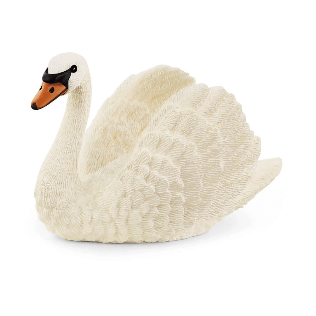 Swan-Schleich USA-Tools 4 Teaching-Classroom Decor and More