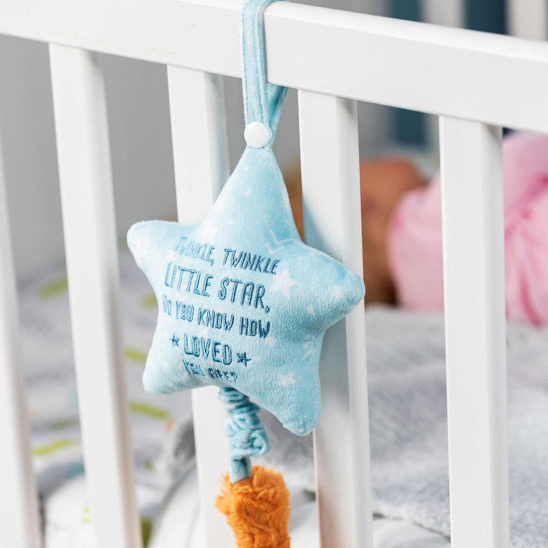 Musical Pull Toy - Fox-Baby & Toddler-Tools 4 Teaching-Classroom Decor and More