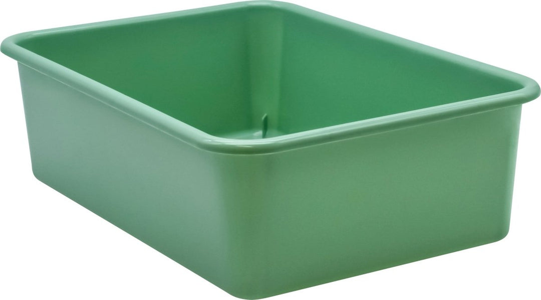 Large Plastic Storage Bin: Eucalyptus Green-Organization-Tools 4 Teaching-Classroom Decor and More