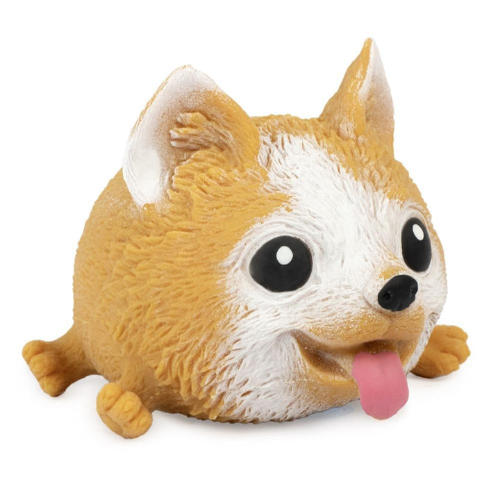 Squidgy Pooch - Assorted-Fidgets-Tools 4 Teaching-Classroom Decor and More