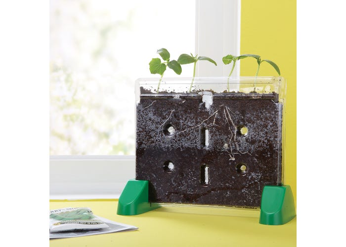 Sprout & Grow™ Window-Science & STEM-Tools 4 Teaching-Classroom Decor and More