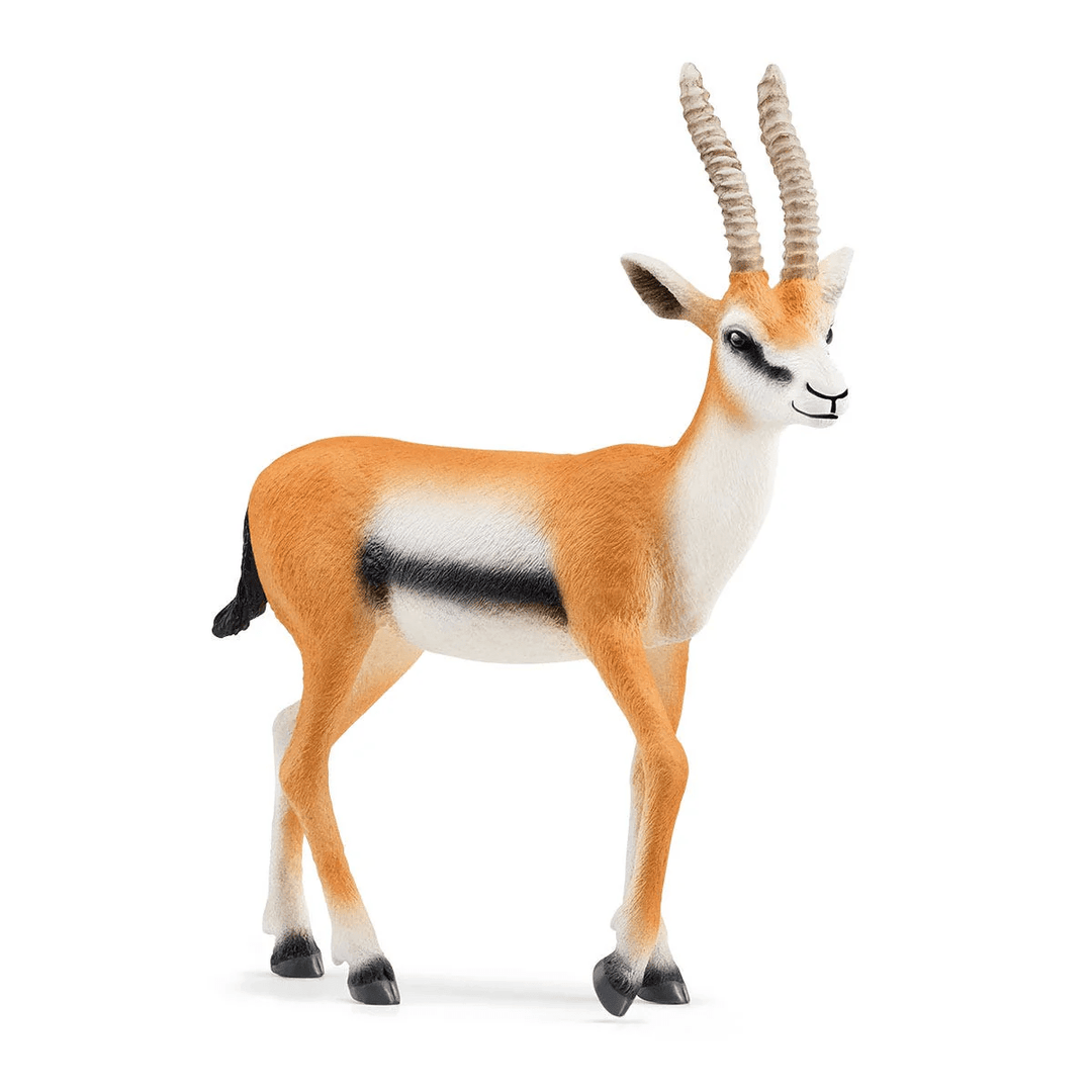 Thomson Gazelle-Schleich USA-Tools 4 Teaching-Classroom Decor and More