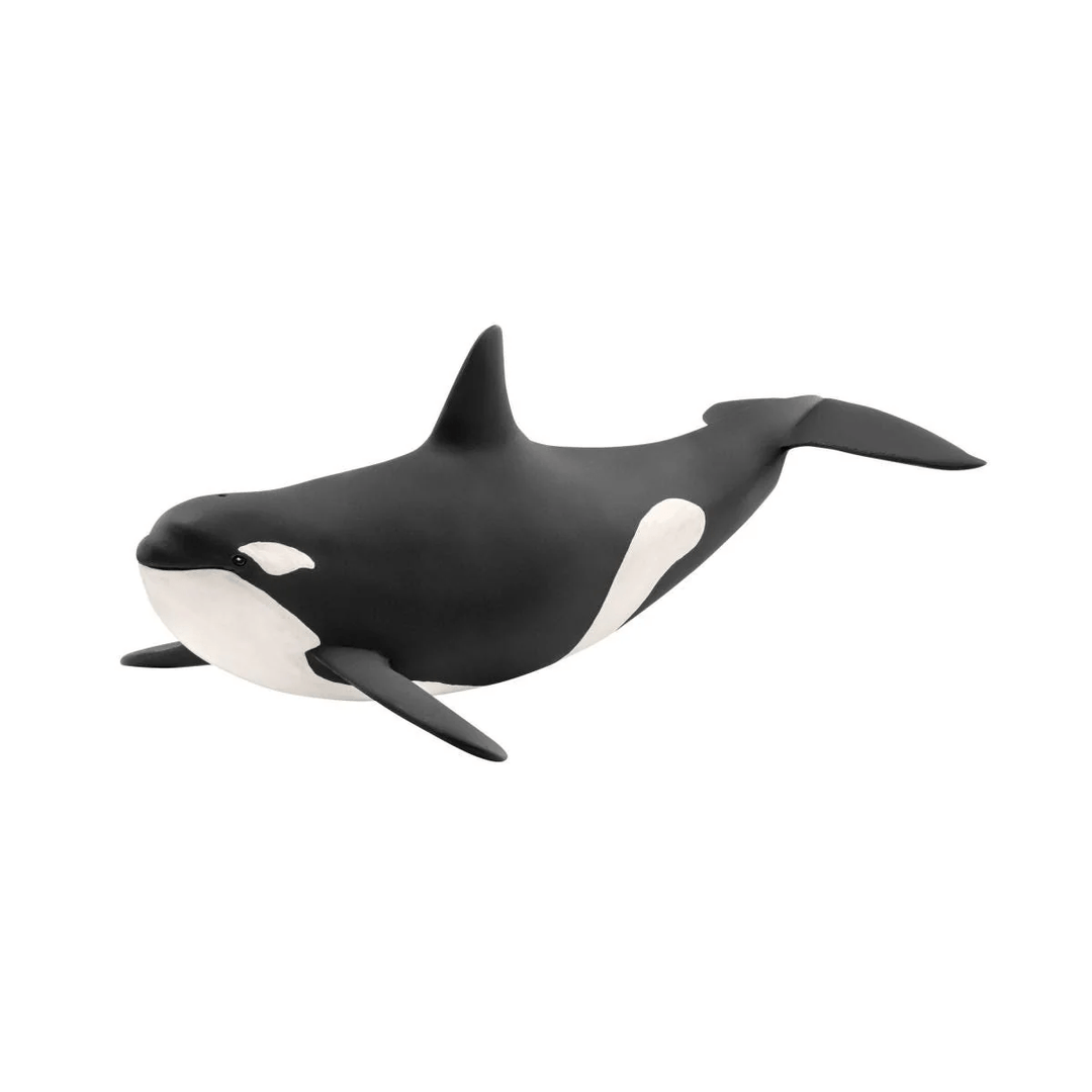 Killer Whale-Schleich USA-Tools 4 Teaching-Classroom Decor and More