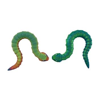 Hog Nose Snake: Rainbow - Tools 4 Teaching