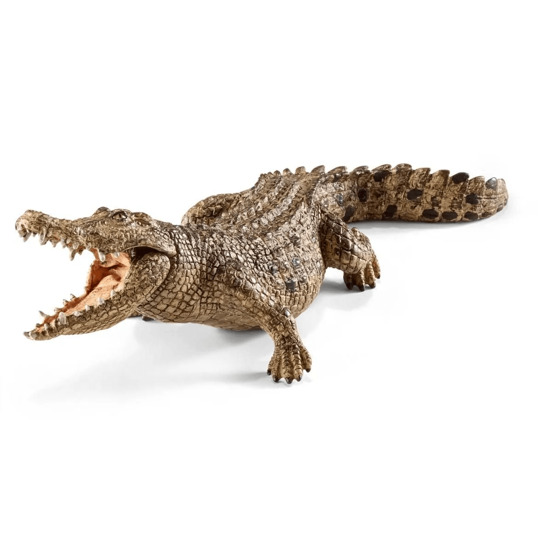 Crocodile-Schleich USA-Tools 4 Teaching-Classroom Decor and More