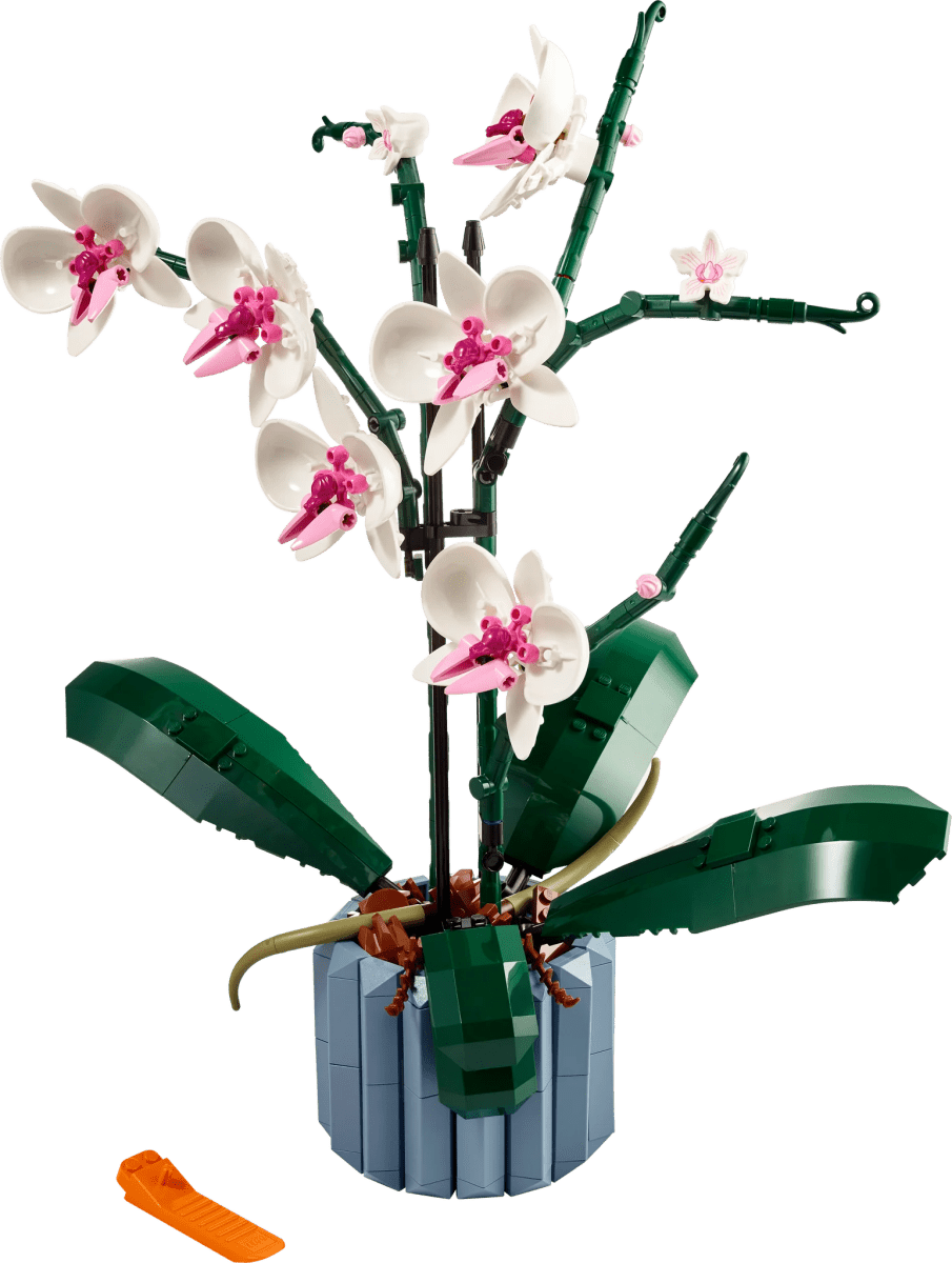 LEGO® Orchid-LEGO-Tools 4 Teaching-Classroom Decor and More