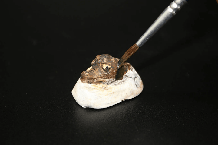 *Extreme Crocodiles of the World-Science & STEM-Tools 4 Teaching-Classroom Decor and More