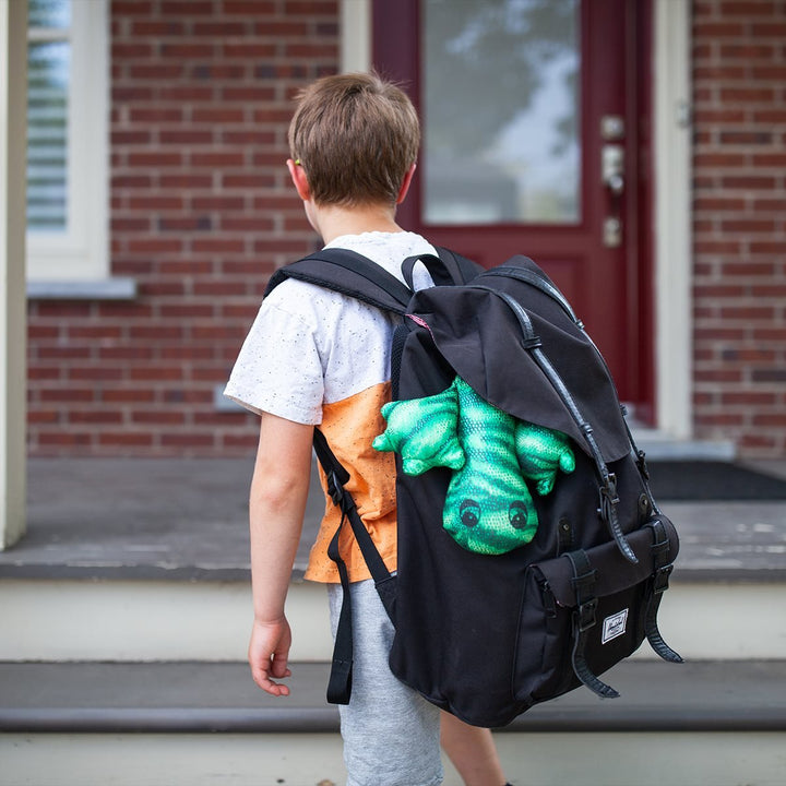 Weighted Lizard (Green) - 2 kg-Sensory Play-Tools 4 Teaching-Classroom Decor and More