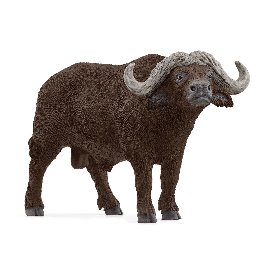 African Buffalo-Schleich USA-Tools 4 Teaching-Classroom Decor and More
