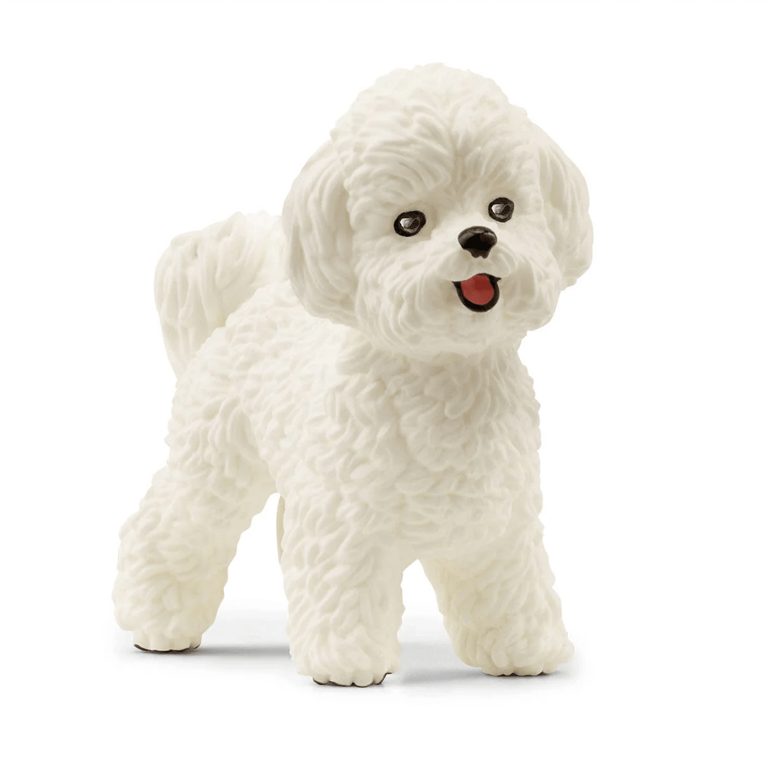 Bichon Frise-Schleich USA-Tools 4 Teaching-Classroom Decor and More