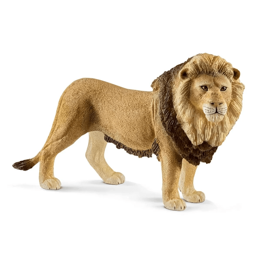 Lion-Schleich USA-Tools 4 Teaching-Classroom Decor and More