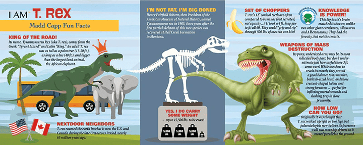 I AM T. REX 100 pcs Puzzle-Puzzles-Tools 4 Teaching-Classroom Decor and More