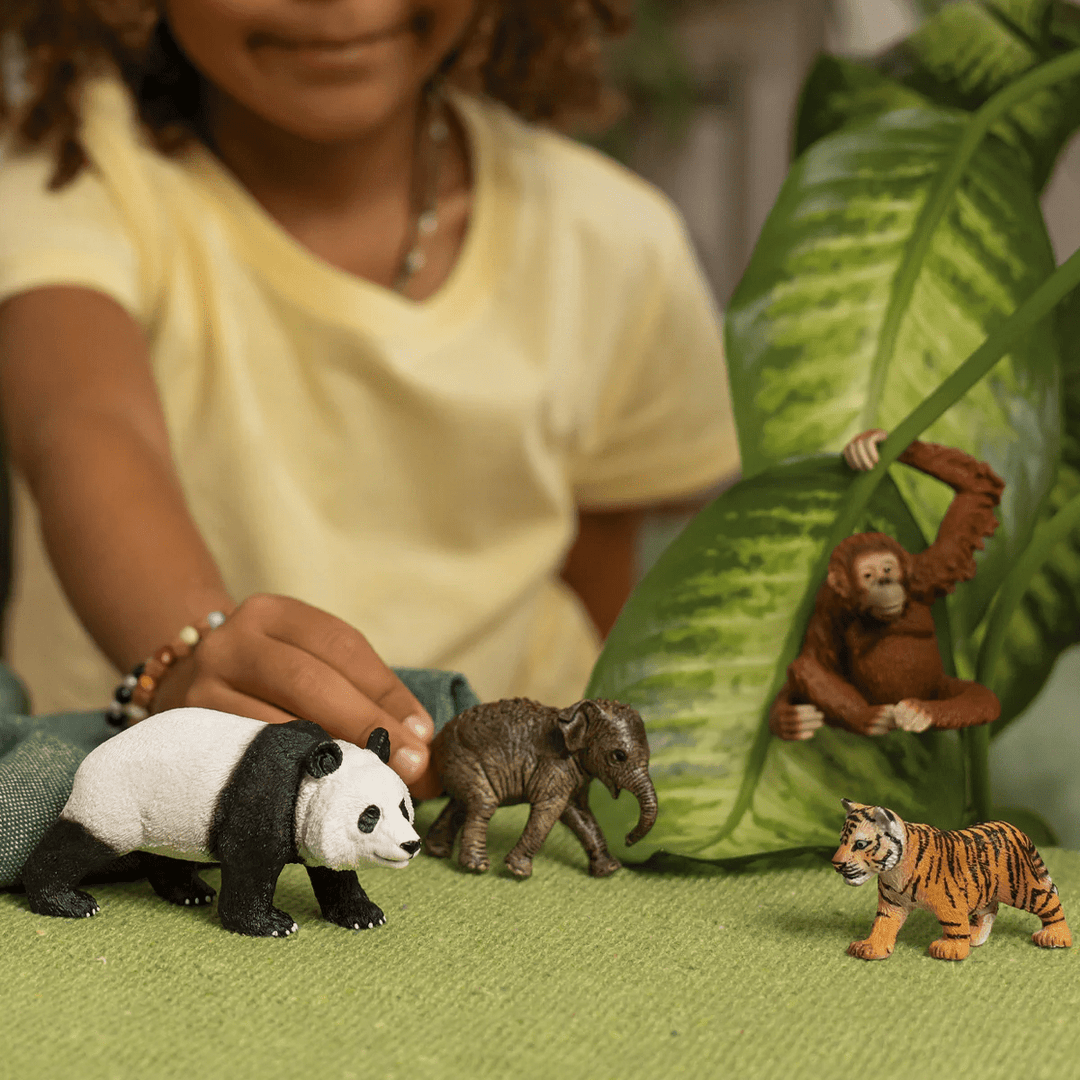 Wild Life Asian Starter Set-Schleich USA-Tools 4 Teaching-Classroom Decor and More