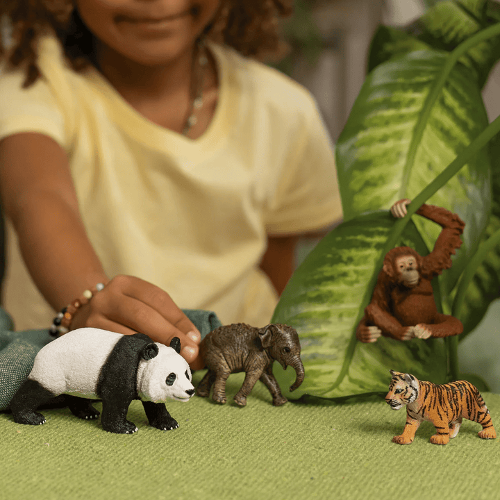 Wild Life Asian Starter Set-Schleich USA-Tools 4 Teaching-Classroom Decor and More