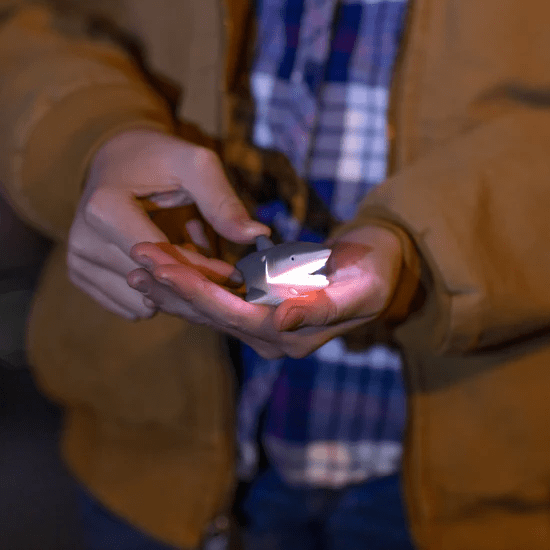 Lifelight Shark-Fidgets-Tools 4 Teaching-Classroom Decor and More