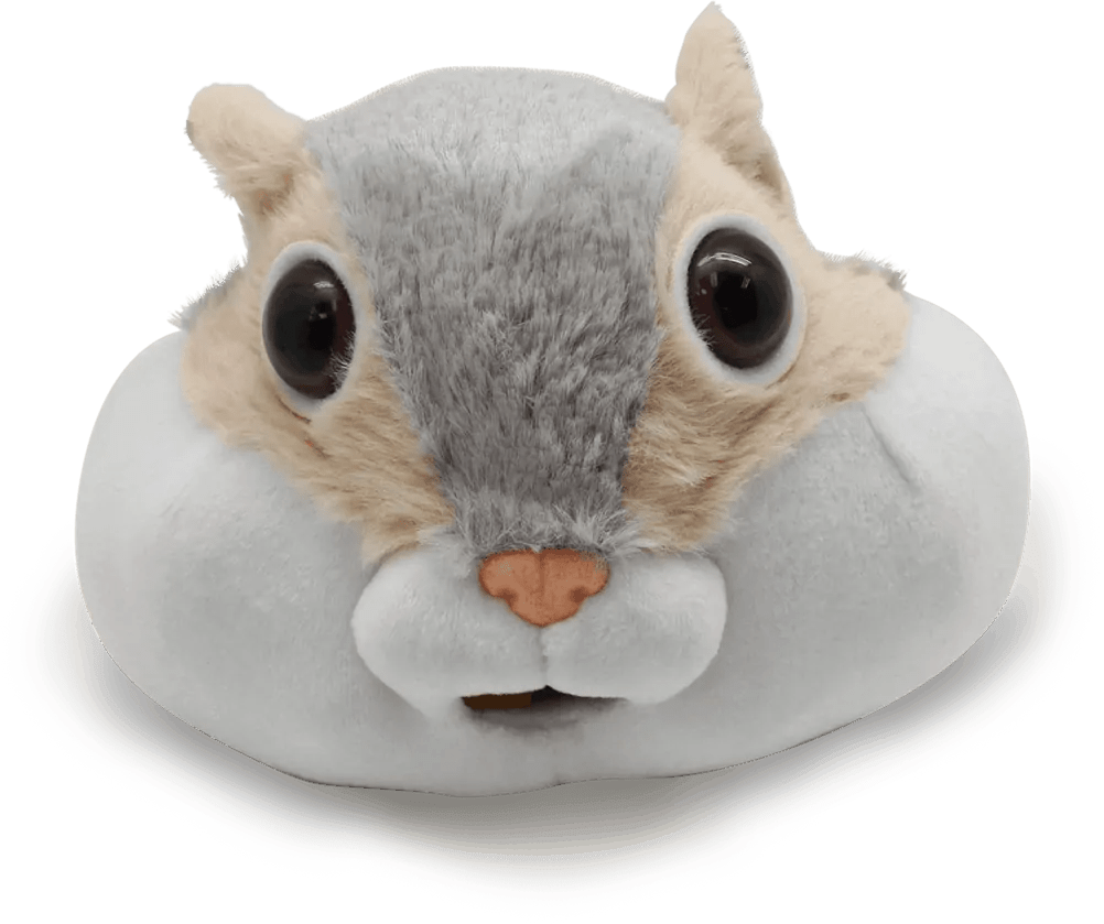 *Feed Fuzzy-Games-Tools 4 Teaching-Classroom Decor and More