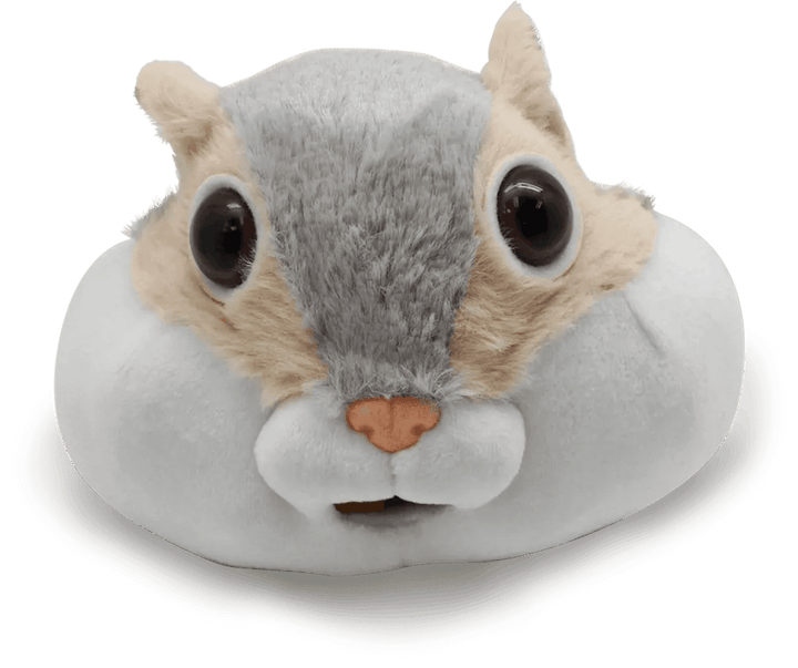 *Feed Fuzzy-Games-Tools 4 Teaching-Classroom Decor and More