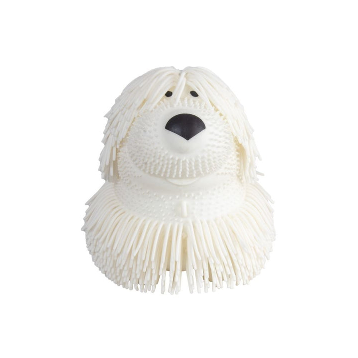 Shaggy Pups - Tools 4 Teaching